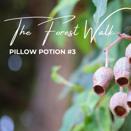 Pillow Potion #3 The Forrest Walk